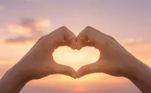 Amor